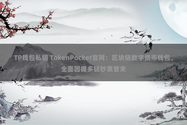 TP钱包私钥 TokenPocket官网：区块链数字货币钱包，全面因循多链钞票管束